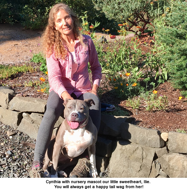 Cyntiha Lafferty of Doak Creek Native Plant Nursery, Eugene Oregon