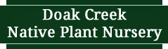 Doak Creek Native Plant Nursery, Eugene Oregon